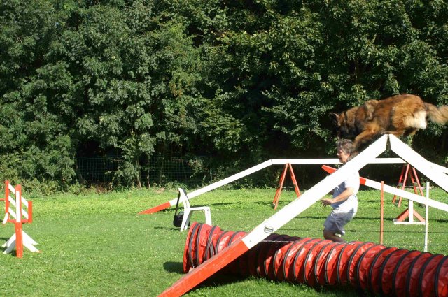 agility 2011-08